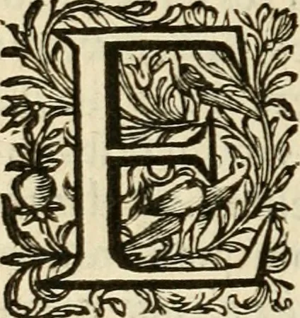 An illustration from Speculum peccatorum aspirantium ad solidam vitae emendationem, siue, Admiranda S. Augustini conversio : historica eiusdem narratione, discursibus moralibus, et emblematis adornata : cum indice concionum per quatuor octauas eiusdem diui et dominicos dies, 1637, leaf 309