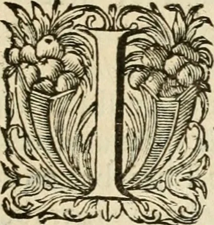 An illustration from Speculum peccatorum aspirantium ad solidam vitae emendationem, siue, Admiranda S. Augustini conversio : historica eiusdem narratione, discursibus moralibus, et emblematis adornata : cum indice concionum per quatuor octauas eiusdem diui et dominicos dies, 1637, leaf 356