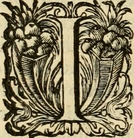 An illustration from Speculum peccatorum aspirantium ad solidam vitae emendationem, siue, Admiranda S. Augustini conversio : historica eiusdem narratione, discursibus moralibus, et emblematis adornata : cum indice concionum per quatuor octauas eiusdem diui et dominicos dies, 1637, leaf 377