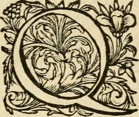An illustration from Speculum peccatorum aspirantium ad solidam vitae emendationem, siue, Admiranda S. Augustini conversio : historica eiusdem narratione, discursibus moralibus, et emblematis adornata : cum indice concionum per quatuor octauas eiusdem diui et dominicos dies, 1637, leaf 39