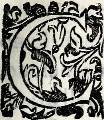 An illustration from Specvlationi di mvsica, dedicate all'eminentiss .., 1670, leaf 16