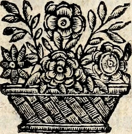 An illustration from Specvlationi di mvsica, dedicate all'eminentiss .., 1670, leaf 6