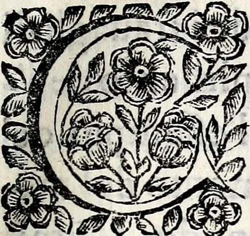 An illustration from Specvlationi di mvsica, dedicate all'eminentiss .., 1670, leaf 8