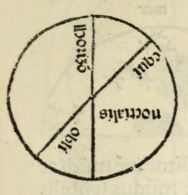 An illustration from Sphaerae mundi compendium foeliciter inchoat, leaf 17