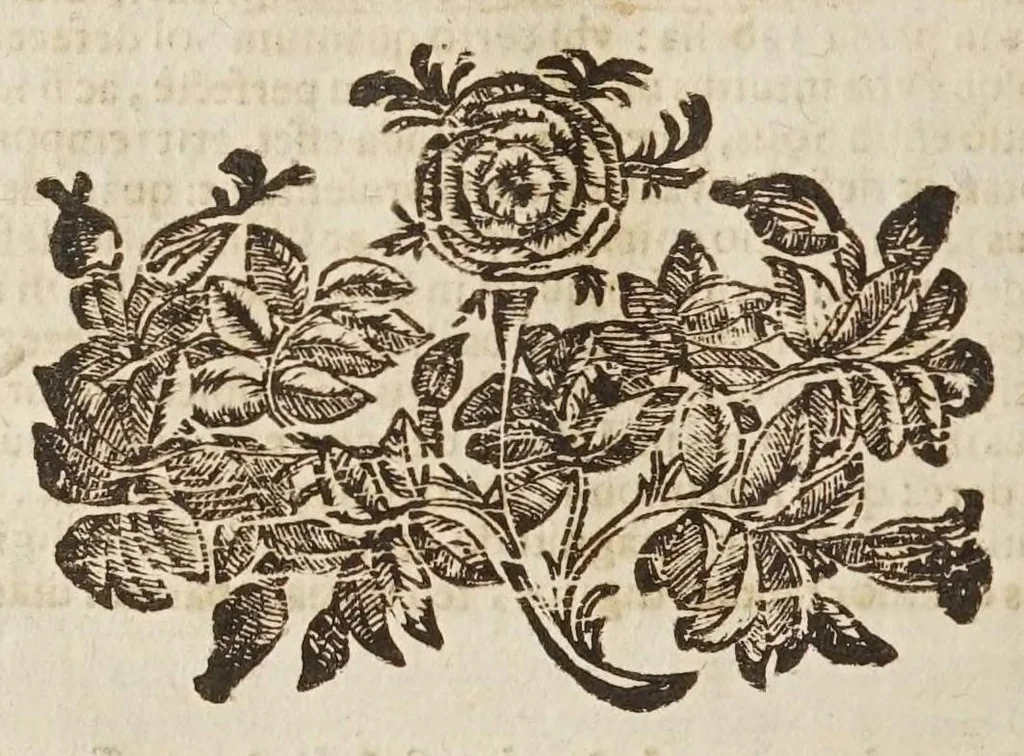 An illustration from Sphaera mundi, seu, Cosmographia demonstratiua, ac facili methodo tradita : in qua totius mundi fabrica, vna cum nouis, Tychonis, Kepleri, Galilaei, aliorumq́; astronomorum adinuentis continentur : accessere I. Breuis introductio ad geographiam. II. Apparatus ad mathematicarum studium. III. Echometria, idest geometrica tractatio de echo. IV. Nouum instrumentum ad horologia describenda : opus posthumum : correcta à multis mendis, quibus scatebat, 1653, leaf 142