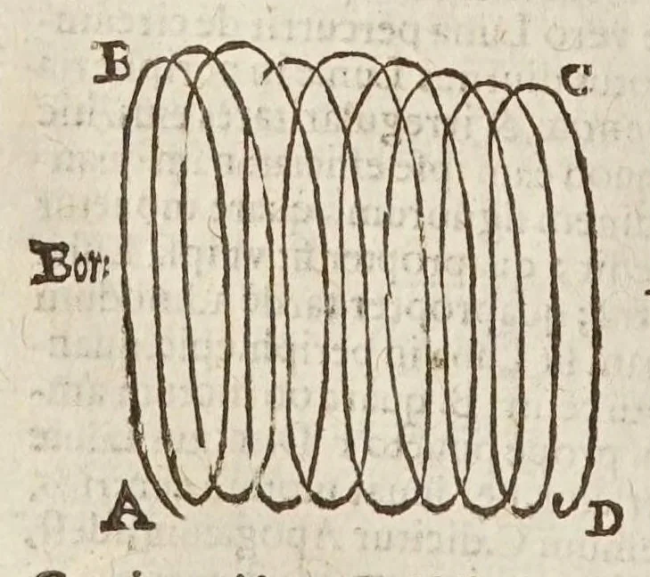 An illustration from Sphaera mundi, seu, Cosmographia demonstratiua, ac facili methodo tradita : in qua totius mundi fabrica, vna cum nouis, Tychonis, Kepleri, Galilaei, aliorumq́; astronomorum adinuentis continentur : accessere I. Breuis introductio ad geographiam. II. Apparatus ad mathematicarum studium. III. Echometria, idest geometrica tractatio de echo. IV. Nouum instrumentum ad horologia describenda : opus posthumum : correcta à multis mendis, quibus scatebat, 1653, leaf 86