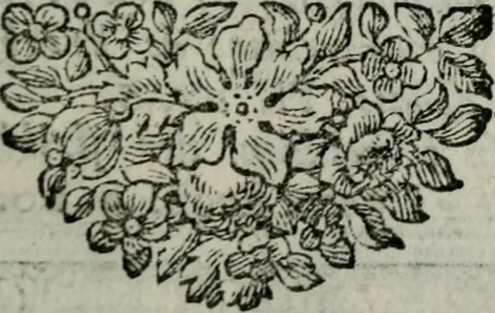 An illustration from Spiegel sonder bedrogh ofte kenisse syns selfs : vor oogen gestelt aen alle deught-minnende persoonen, 1733, leaf 78
