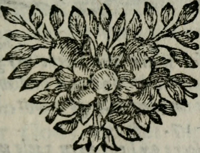 An illustration from Spiegel sonder bedrogh ofte kenisse syns selfs : vor oogen gestelt aen alle deught-minnende persoonen, 1733, leaf 88