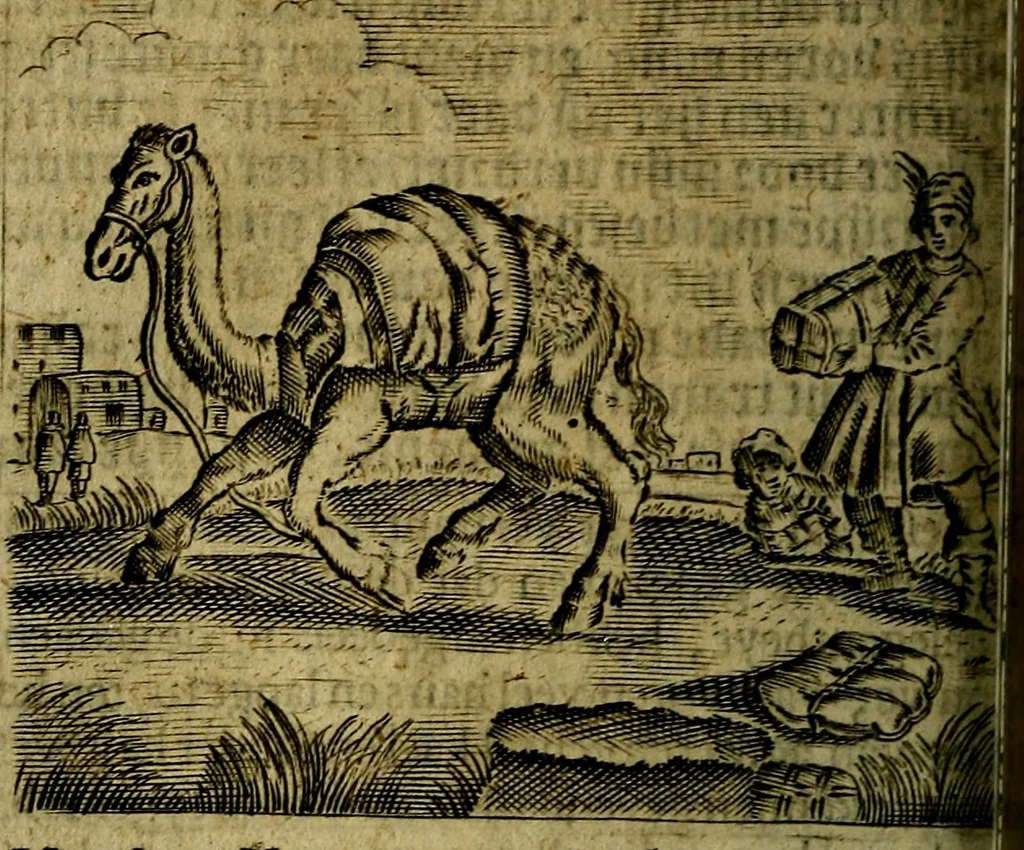 An illustration from Spiegel van den Ouden en Nieuwen Tydt, : bestaande uyt spreekwoorden, ontleent van de voorige en jegenwoordige eeuwe, verlustiget door meenigte van sinnebeelden, met gedichten en prenten daar op passende. : Vermeerdert met groote meenigte van spreekwoorden, door geheel het werk, met byvoeginge van nieuwe platen eu gedichten : alles in de nederlandsche tale ten gerieve van de liefhebbers der zelver,, 1690, leaf 181