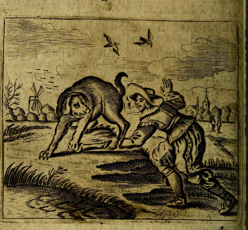 An illustration from Spiegel van den Ouden en Nieuwen Tydt, : bestaande uyt spreekwoorden, ontleent van de voorige en jegenwoordige eeuwe, verlustiget door meenigte van sinnebeelden, met gedichten en prenten daar op passende. : Vermeerdert met groote meenigte van spreekwoorden, door geheel het werk, met byvoeginge van nieuwe platen eu gedichten : alles in de nederlandsche tale ten gerieve van de liefhebbers der zelver,, 1690, leaf 219