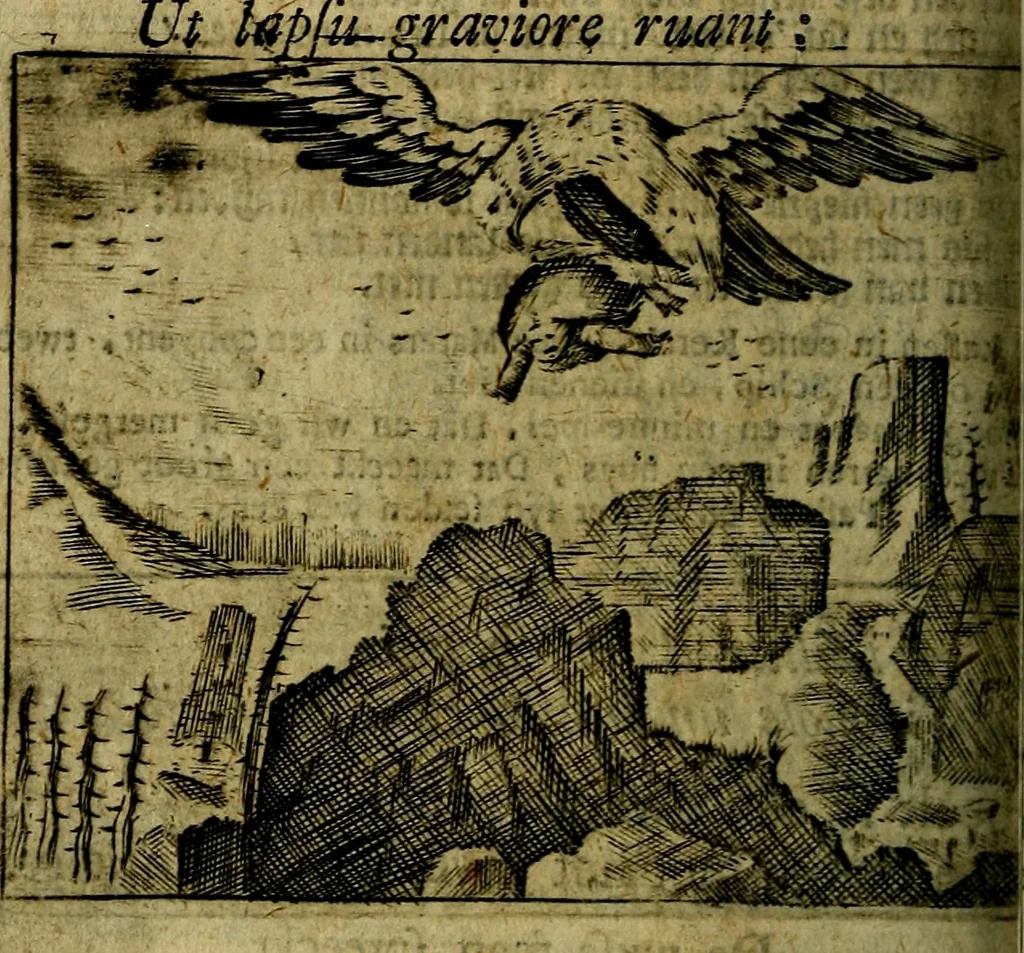 An illustration from Spiegel van den Ouden en Nieuwen Tydt, : bestaande uyt spreekwoorden, ontleent van de voorige en jegenwoordige eeuwe, verlustiget door meenigte van sinnebeelden, met gedichten en prenten daar op passende. : Vermeerdert met groote meenigte van spreekwoorden, door geheel het werk, met byvoeginge van nieuwe platen eu gedichten : alles in de nederlandsche tale ten gerieve van de liefhebbers der zelver,, 1690, leaf 249