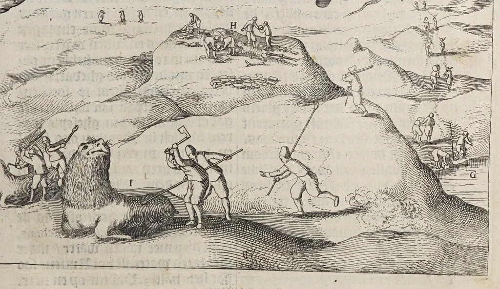An illustration from Spieghel der Australische navigatie,, 1622, leaf 39
