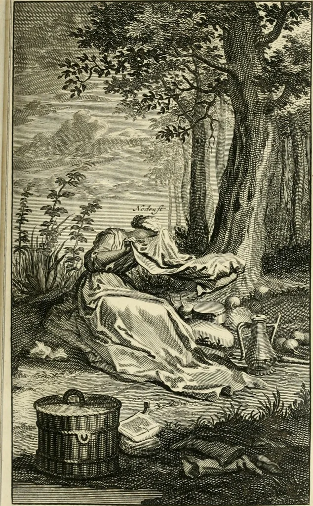 An illustration from H.L. Spieghels Hertspeighel en andere zedeschriften : met verscheidene nooit gedrukte stukken verrijkt, en door aenteekeningen opgeheldert, 1723, leaf 238