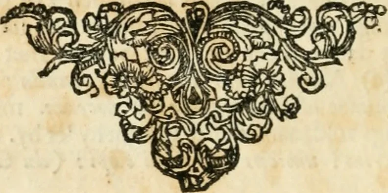 An illustration from H.L. Spieghels Hertspeighel en andere zedeschriften : met verscheidene nooit gedrukte stukken verrijkt, en door aenteekeningen opgeheldert, 1723, leaf 355