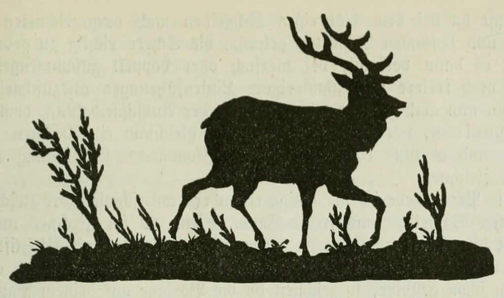 An illustration from Spiel und Arbeit, bildende Arbeiten und unterhaltende Spiele für Knaben und Mädchen nach Fröbelschen Grundsatzen bearbeitet, 1900, leaf 117