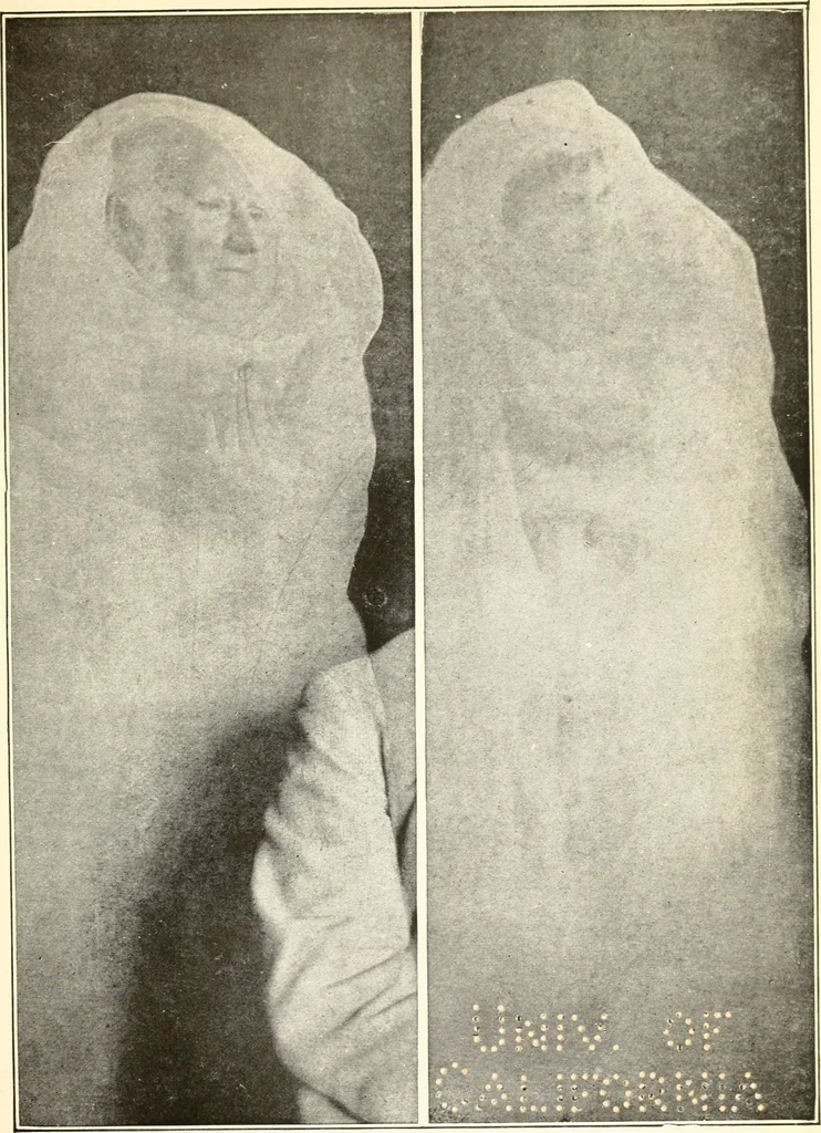 An illustration from Spirit intercourse, its theory and practice, 1917, leaf 122