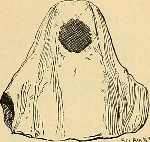 An illustration from Spirit slate writing and kindred phenomena, 1898, leaf 136
