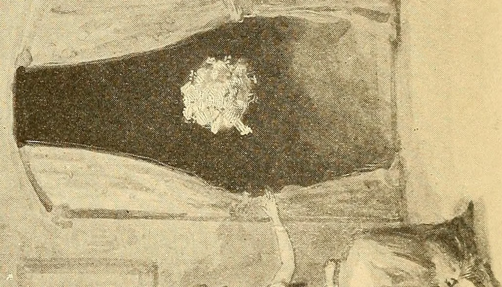 An illustration from Spirit slate writing and kindred phenomena, 1898, leaf 8