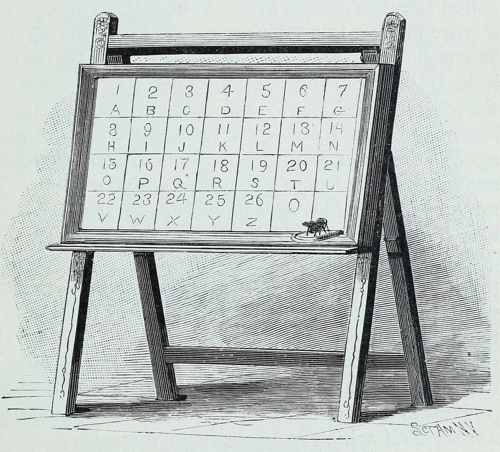 An illustration from Spirit slate writing and kindred phenomena, 1898, leaf 75