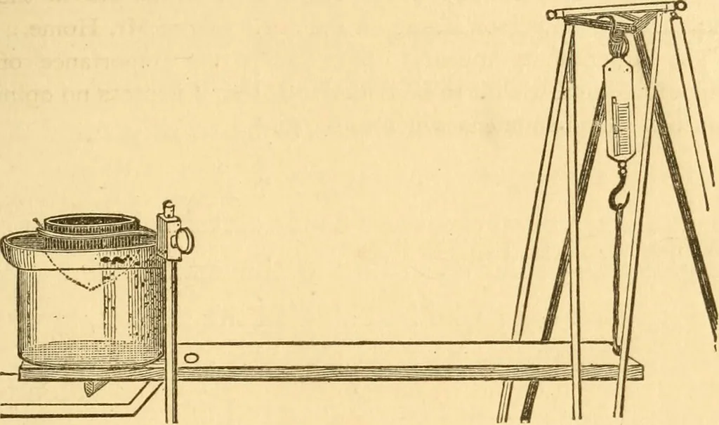 An illustration from Spiritualism and allied causes and conditions of nervous derangement, 1876, leaf 120