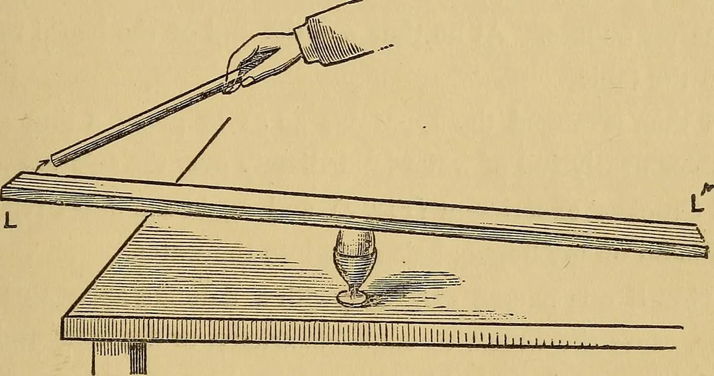An illustration from Spiritualism and allied causes and conditions of nervous derangement, 1876, leaf 132