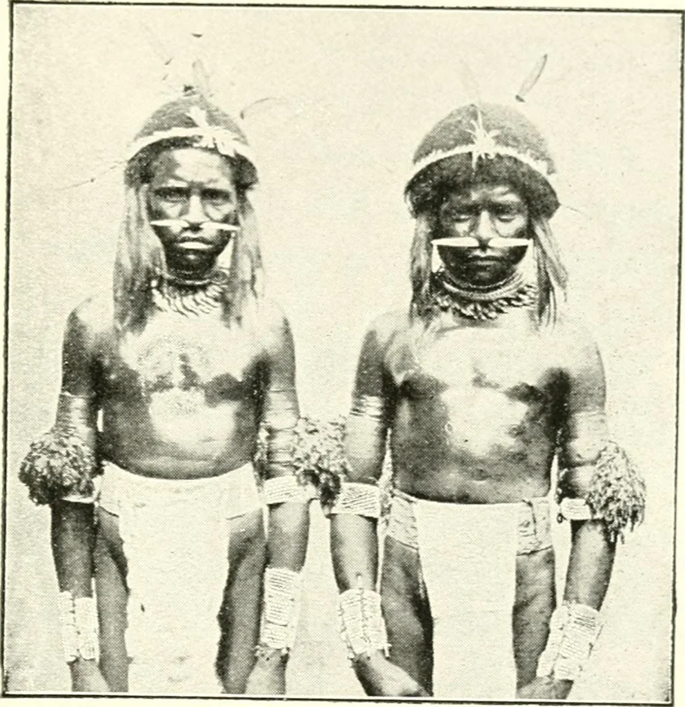 An illustration from Spiritualism among civilised and savage races; a study in anthropology, 1921, leaf 84