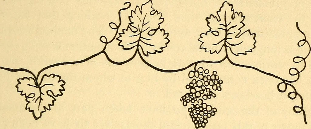 An illustration from Spiritualist philosophy : the spirits' book : containing the principles of spiritist doctrine, 1893, leaf 74