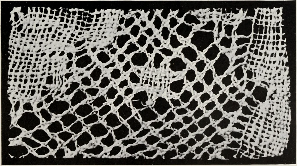 An illustration from Spitzen und ihre Charakteristik, 1907, leaf 118