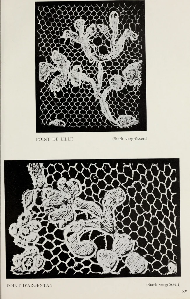 An illustration from Spitzen und ihre Charakteristik, 1907, leaf 120