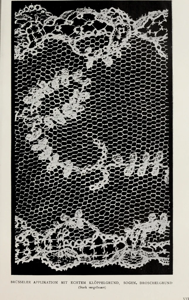 An illustration from Spitzen und ihre Charakteristik, 1907, leaf 122