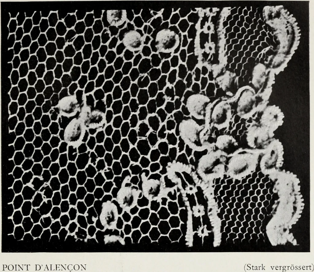An illustration from Spitzen und ihre Charakteristik, 1907, leaf 124