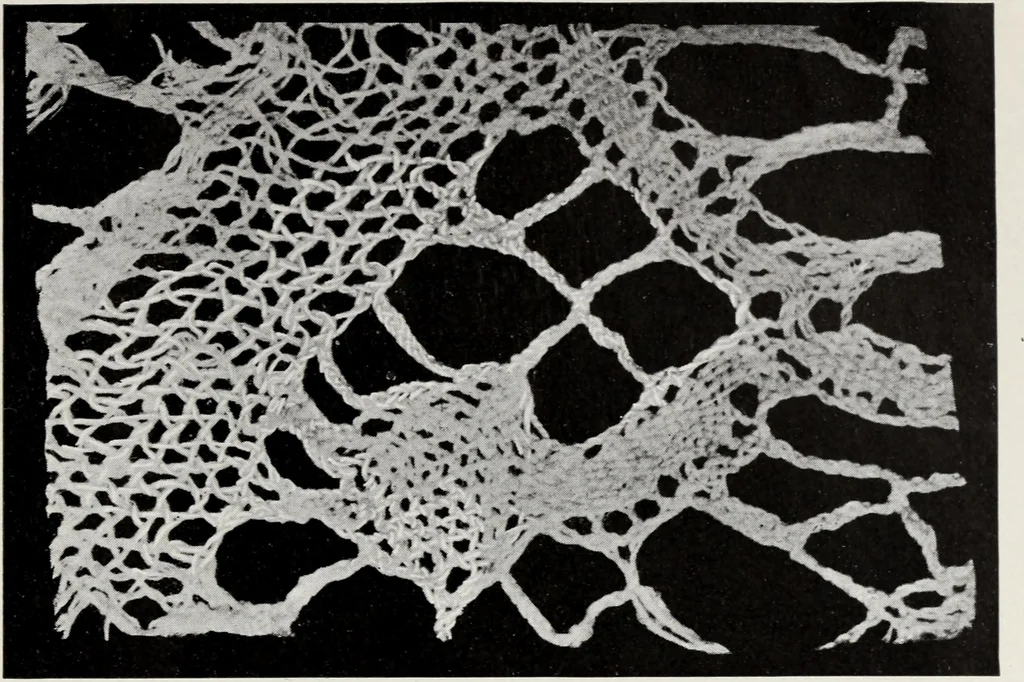 An illustration from Spitzen und ihre Charakteristik, 1907, leaf 128
