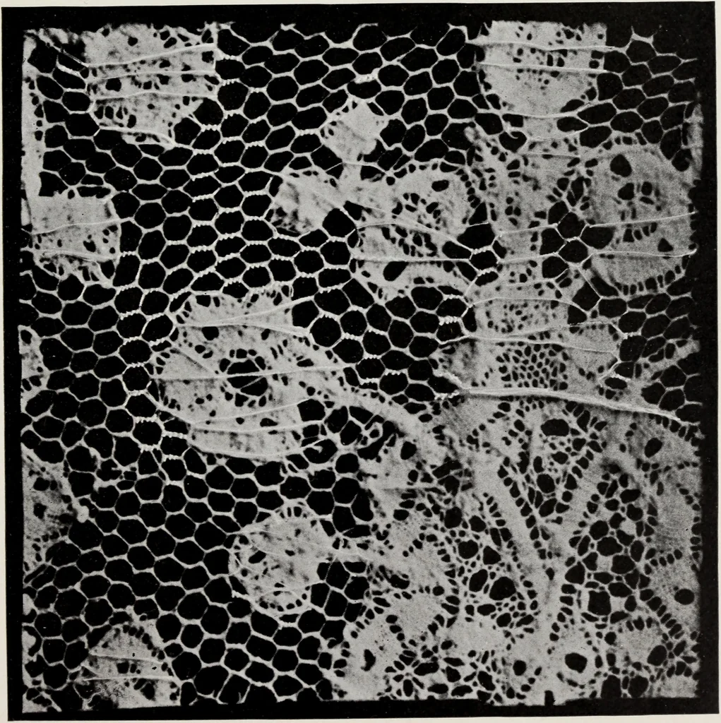 An illustration from Spitzen und ihre Charakteristik, 1907, leaf 128