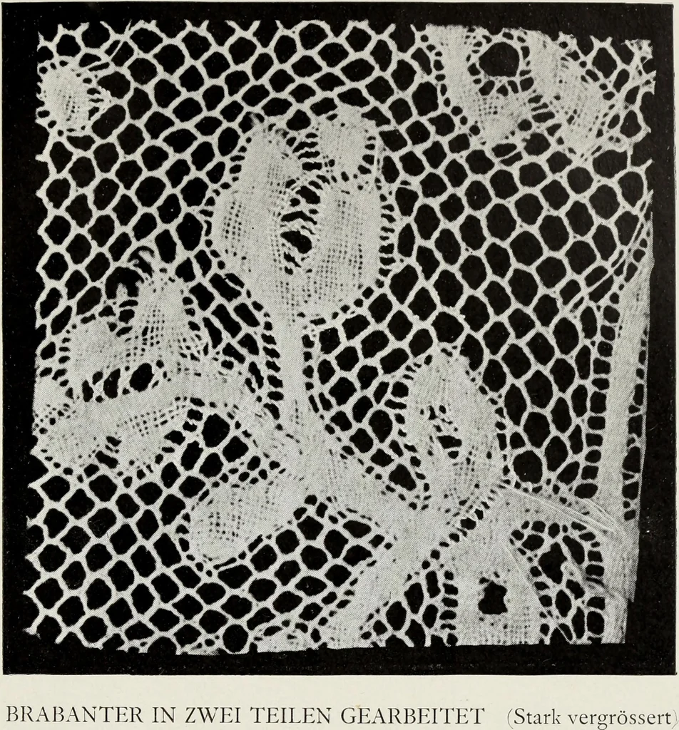 An illustration from Spitzen und ihre Charakteristik, 1907, leaf 130