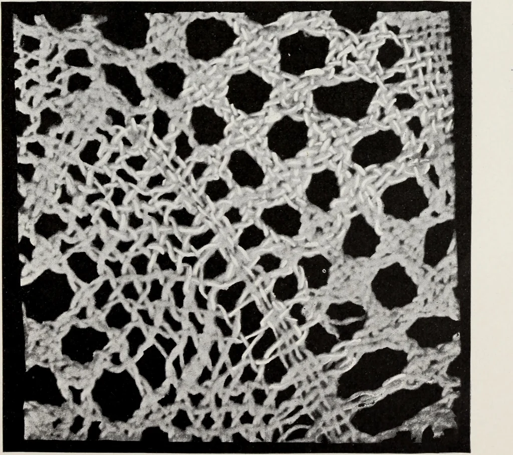 An illustration from Spitzen und ihre Charakteristik, 1907, leaf 132