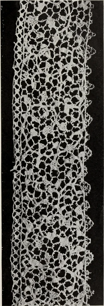 An illustration from Spitzen und ihre Charakteristik, 1907, leaf 96