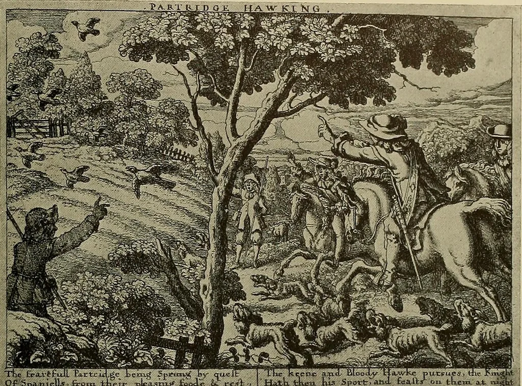 An illustration from Sport in art; an iconography of sport during four hundred years from the beginning of the fifteenth of the end of the eighteenth centuries, 1913, leaf 246