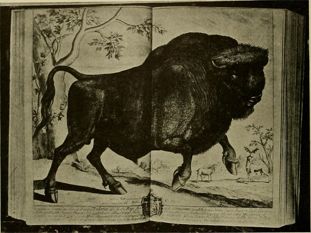An illustration from Sport in art; an iconography of sport during four hundred years from the beginning of the fifteenth of the end of the eighteenth centuries, 1913, leaf 275