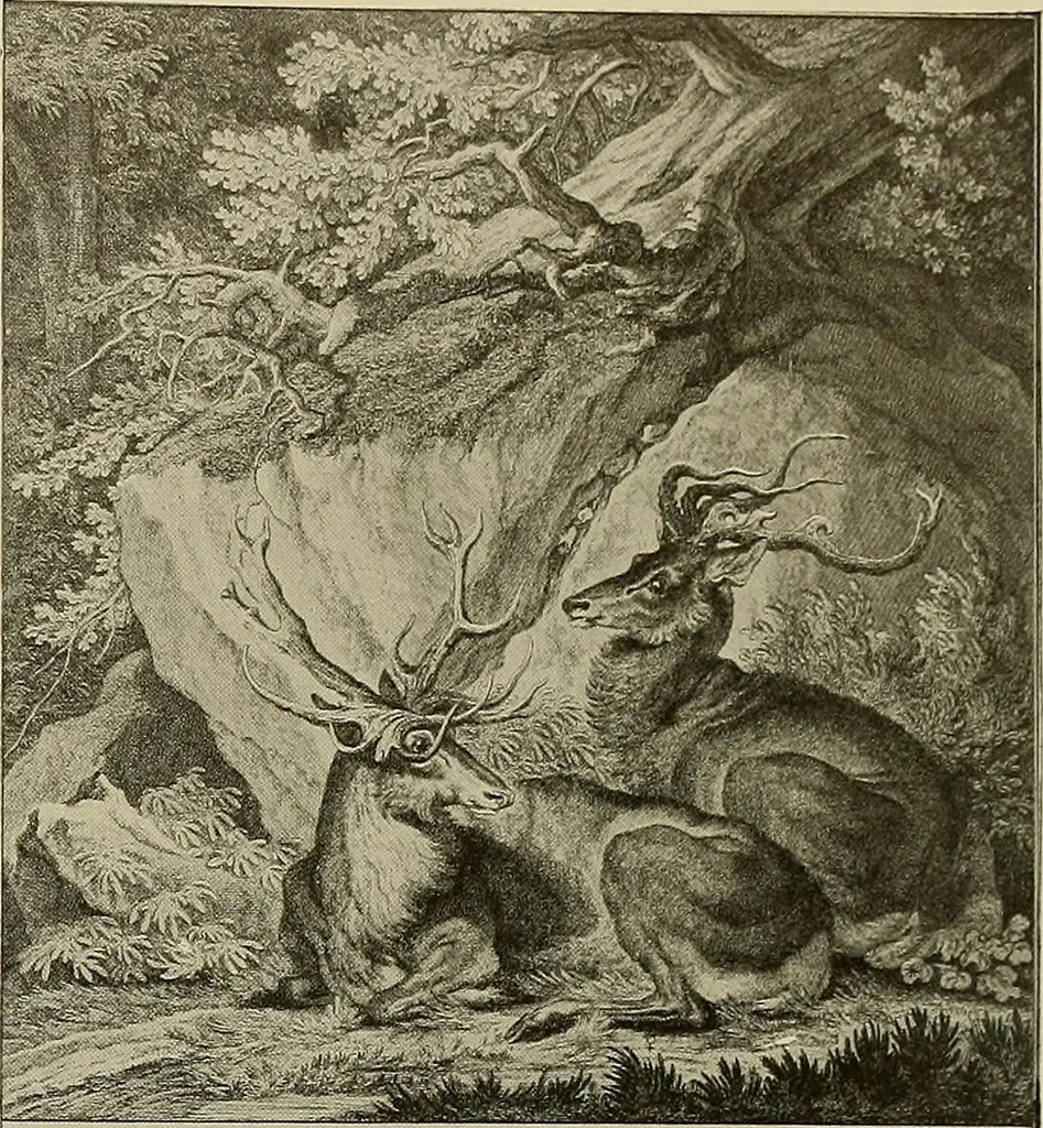 An illustration from Sport in art; an iconography of sport during four hundred years from the beginning of the fifteenth of the end of the eighteenth centuries, 1913, leaf 338