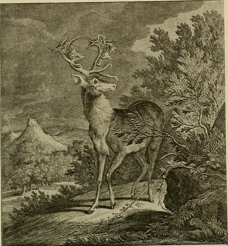 An illustration from Sport in art; an iconography of sport during four hundred years from the beginning of the fifteenth of the end of the eighteenth centuries, 1913, leaf 339
