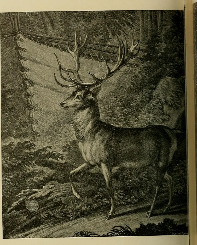 An illustration from Sport in art; an iconography of sport during four hundred years from the beginning of the fifteenth of the end of the eighteenth centuries, 1913, leaf 339