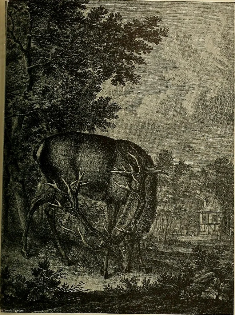 An illustration from Sport in art; an iconography of sport during four hundred years from the beginning of the fifteenth of the end of the eighteenth centuries, 1913, leaf 340