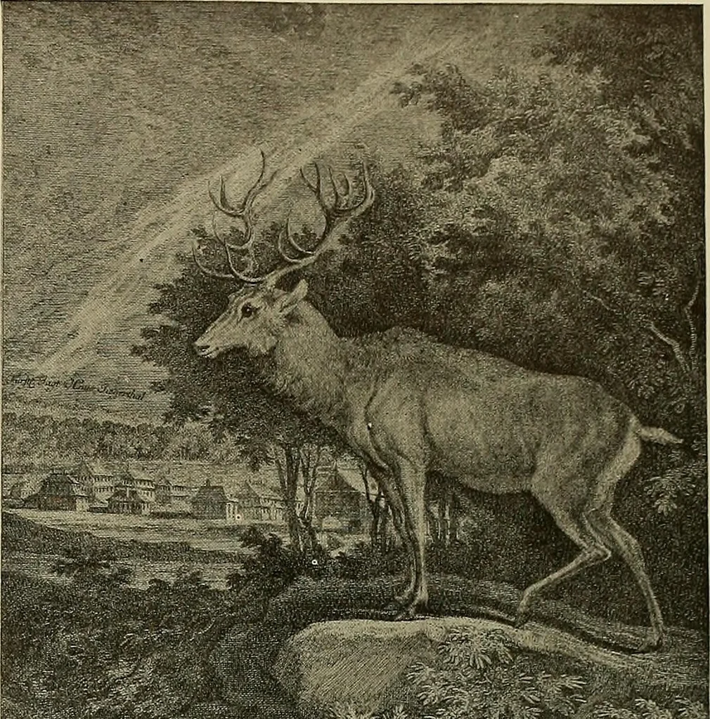 An illustration from Sport in art; an iconography of sport during four hundred years from the beginning of the fifteenth of the end of the eighteenth centuries, 1913, leaf 340