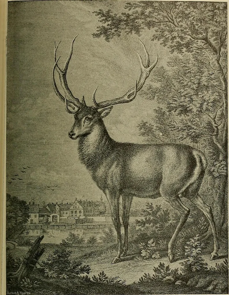 An illustration from Sport in art; an iconography of sport during four hundred years from the beginning of the fifteenth of the end of the eighteenth centuries, 1913, leaf 342