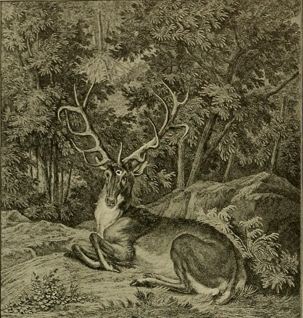 An illustration from Sport in art; an iconography of sport during four hundred years from the beginning of the fifteenth of the end of the eighteenth centuries, 1913, leaf 343