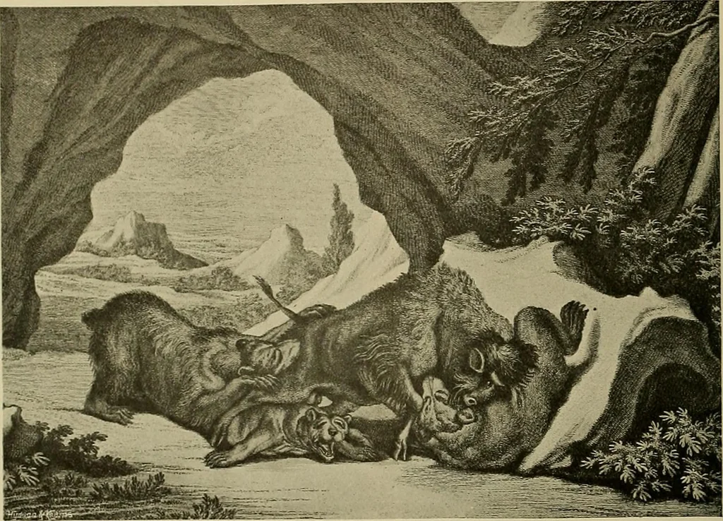 An illustration from Sport in art; an iconography of sport during four hundred years from the beginning of the fifteenth of the end of the eighteenth centuries, 1913, leaf 349