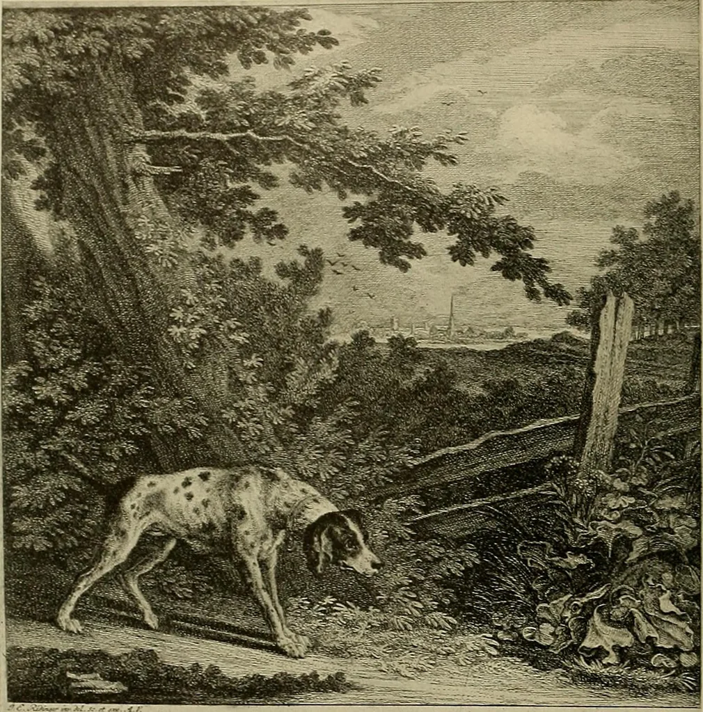 An illustration from Sport in art; an iconography of sport during four hundred years from the beginning of the fifteenth of the end of the eighteenth centuries, 1913, leaf 361