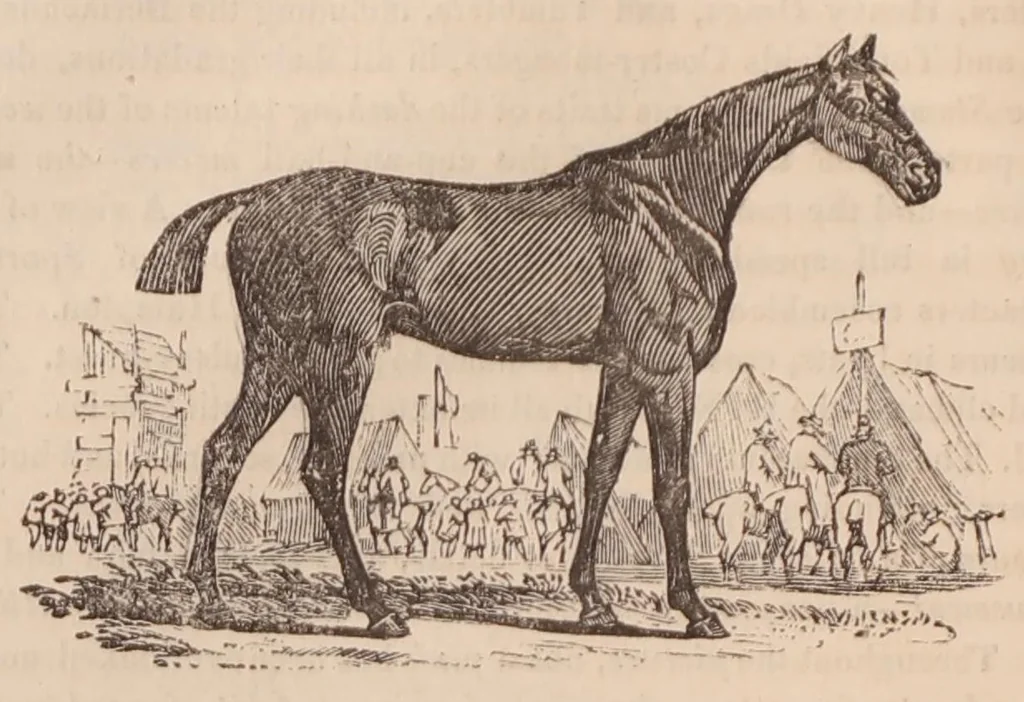 An illustration from Sporting anecdotes, original and selected; 1825, 1825, leaf 375