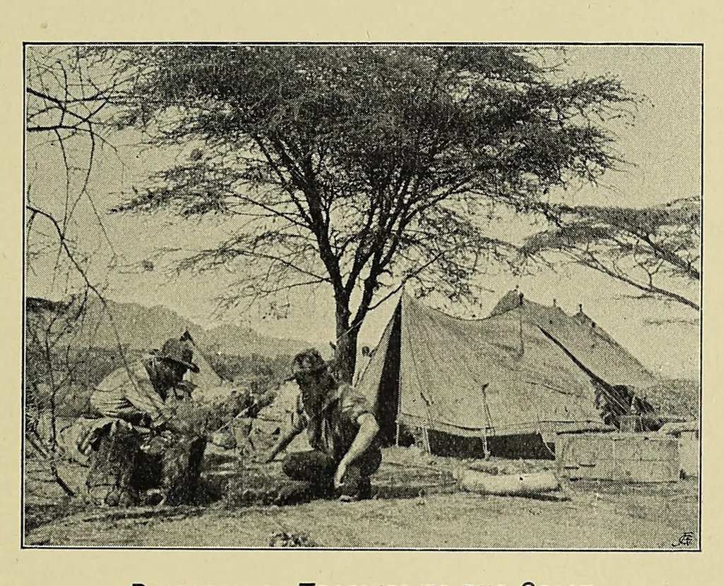 An illustration from A sporting trip through Abyssinia : a narrative of a nine months' journey from the plains of the Hawash to the snows of Simien, with a description of the game, from elephant to ibex, and notes on the manners and customs of the natives, 1902, leaf 177