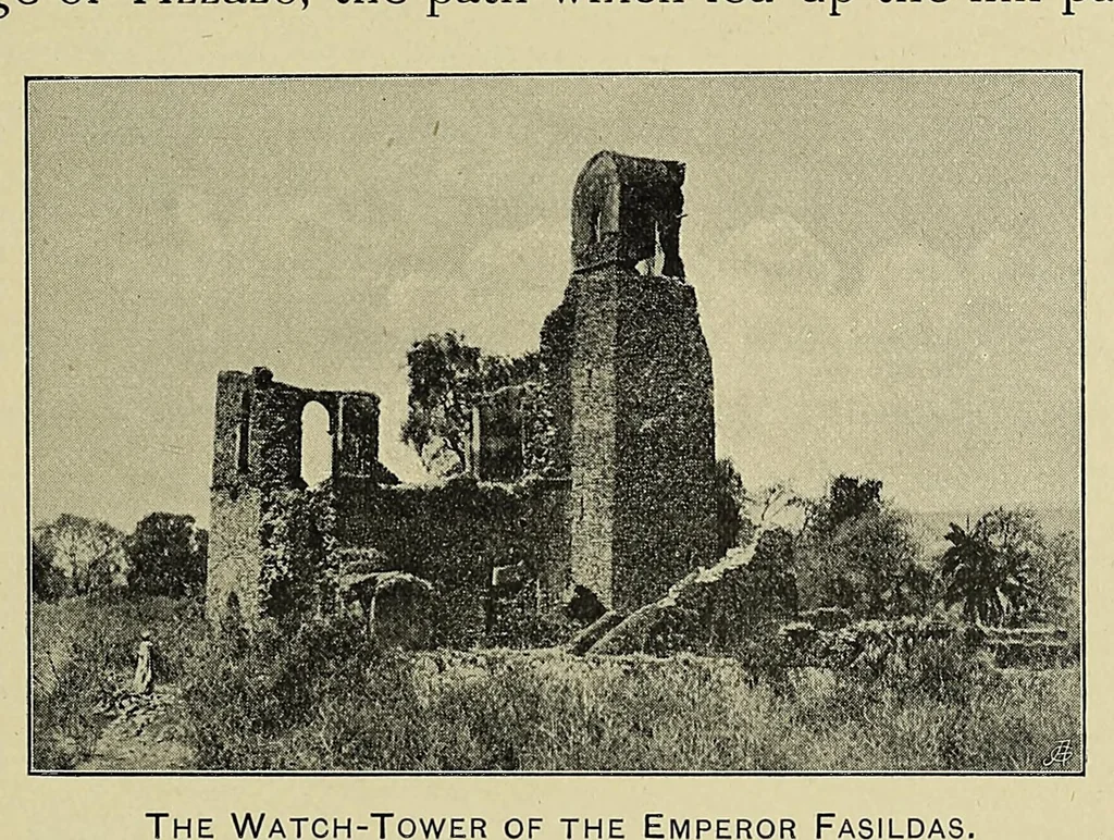 An illustration from A sporting trip through Abyssinia : a narrative of a nine months' journey from the plains of the Hawash to the snows of Simien, with a description of the game, from elephant to ibex, and notes on the manners and customs of the natives, 1902, leaf 329